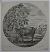 Collection of 13 etchings, engravings and reproductions.